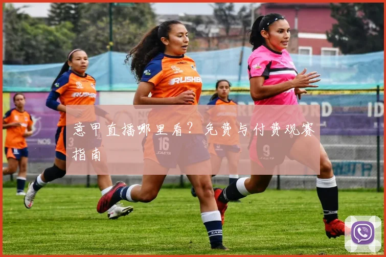 意甲直播哪里看?免费与付费观赛指南