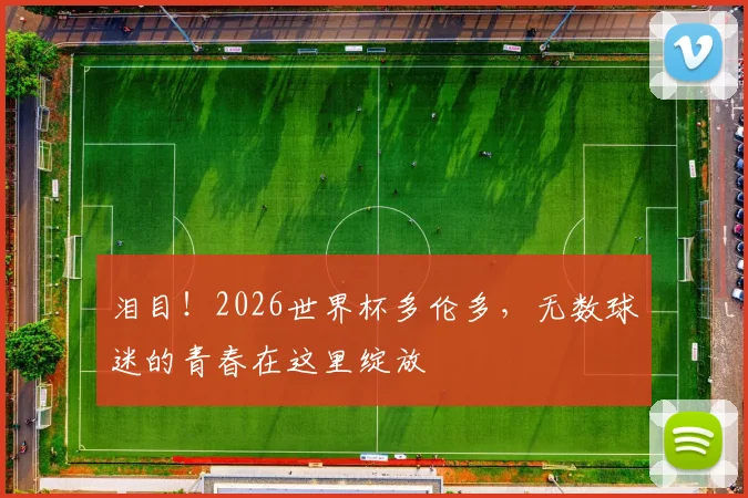 泪目！2026世界杯多伦多，无数球迷的青春在这里绽放